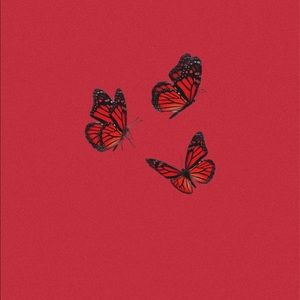 Meet your Posher, Maritza